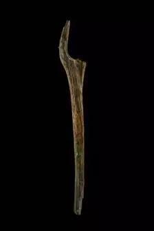 Divers Discover 10,500-Year-Old Wood That May Rewrite the Story of ...