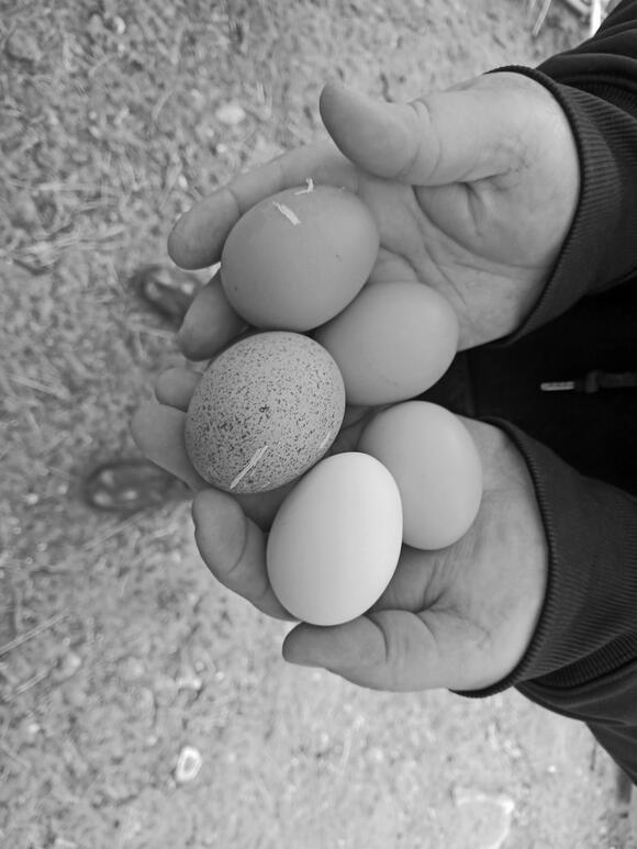 Ingleside RV Park Roadside Attraction