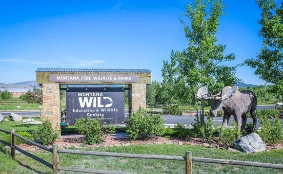 For the Birds! Montana's Awesome New Avian Walkway Now Open - NewsBreak