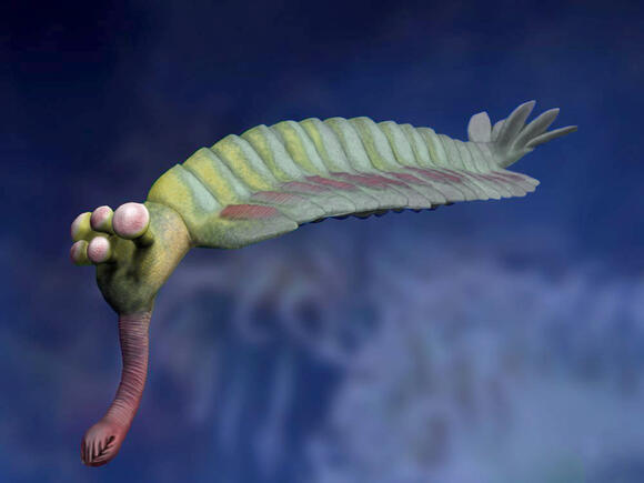 The Prehistoric Creature That Looked Like a Vacuum Cleaner - NewsBreak