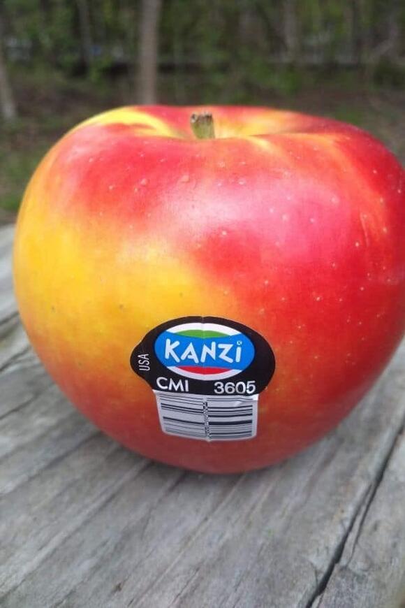 I Buy This Tangy Apple Every Winter Because It Stays Crisp - NewsBreak