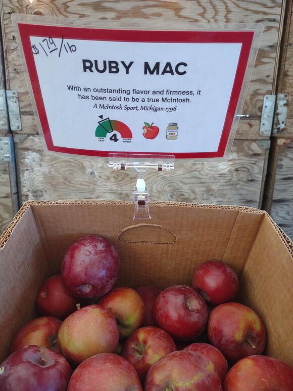 Can't Find McIntosh Apples? Here Are the Best Alternatives to Try ...