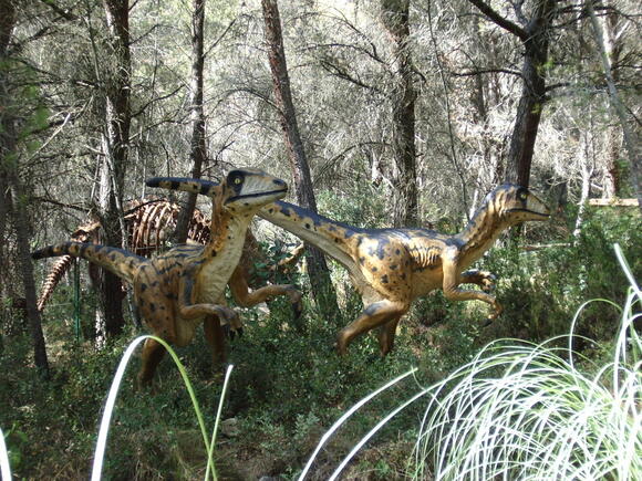 Could a Velociraptor Open a Door? - NewsBreak
