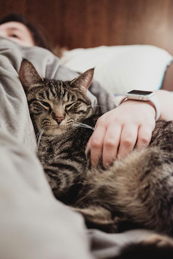 Why Cats Feel Emotionally Closer to People Who Move Slowly - NewsBreak