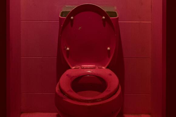 Wet rat winter? How to handle toilet rats after Washington's heavy rain ...