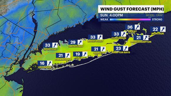 STORM WATCH: Heavy rain, gusty winds moving in for part of weekend
