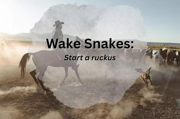 Can You Understand The Unique Wyoming Cowboy Lingo - NewsBreak