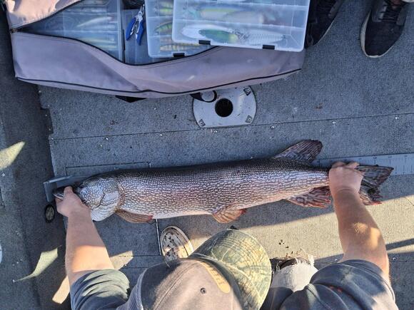 North Idaho Angler Lands New State Record Northern Pike on Lake Pend ...