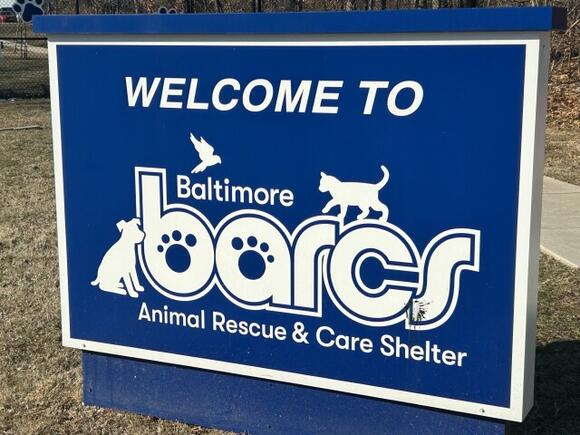 BARCS pleads for adoptions after kennels fill overnight - NewsBreak