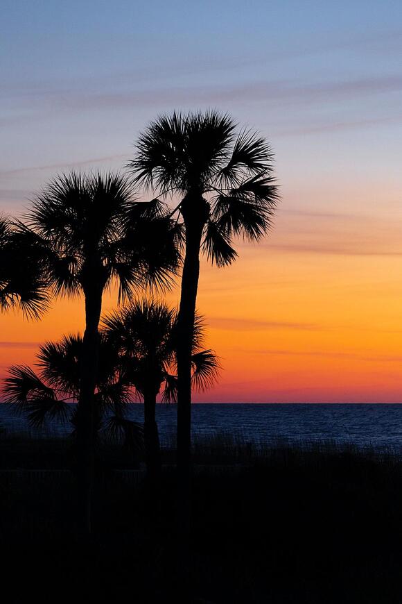 Get Away On These 20 Direct Flights From Upstate New York Airport ...