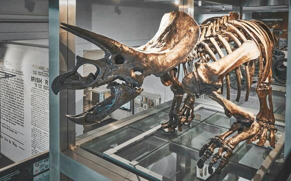 What Dinosaurs Mean to Us Now: From Curiosity to Cultural Icon - NewsBreak