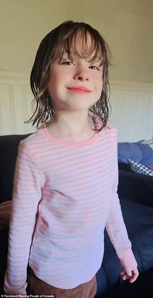 Last ditch' search for siblings, 6 and 4, who vanished five months ago...  as theories swirl - NewsBreak