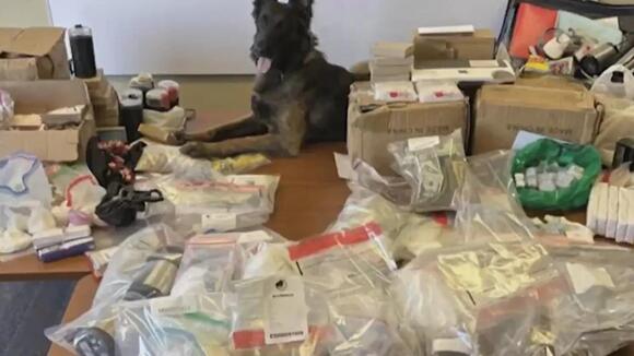5 people arrested, millions of dollars in fentanyl seized in ...