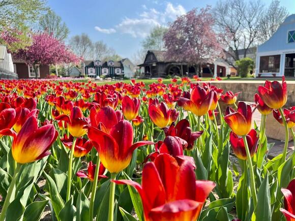 10 Iowa Spring Festivals to Add to Your 2026 Calendar [LIST] - NewsBreak