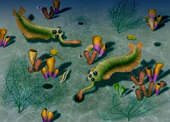 The Prehistoric Creature That Looked Like a Vacuum Cleaner - NewsBreak