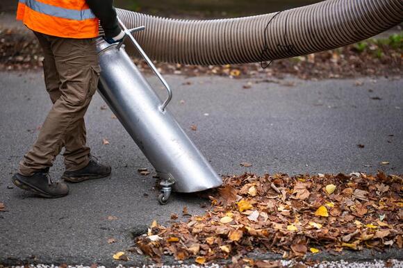 Great Falls Leaf Pickup Begins October 27 In Zone 1, Running Through ...