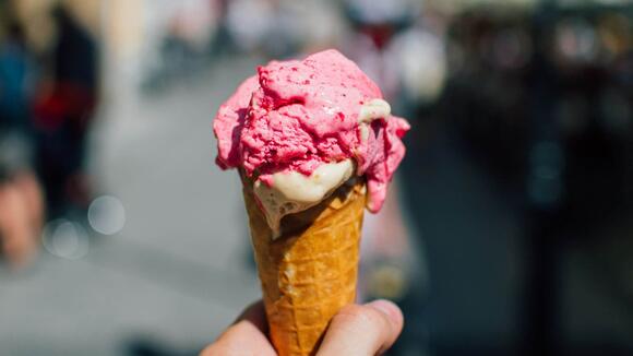 Think SugarFree Means Healthy? These 16 Foods Might Prove You Wrong NewsBreak