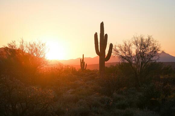 Is the Arizona Mumble Actually a Real Accent? - NewsBreak