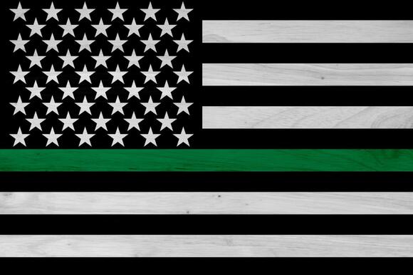 American Flag with Blue, Red, and Green Stripe: History, Meaning, and ...