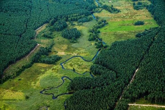 This Ancient River System Dictated the Migration of Prehistoric Beasts ...