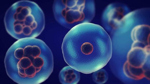 Scientists Found a Way to Upgrade the Powerhouses of Our Cells Without ...