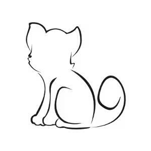 🐱 Sweet St. Joseph Cats Ready to Join Your Family - NewsBreak