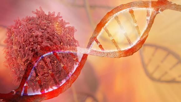 INTerpath-001 Data Detail Survival, Subgroup, and Safety Findings in Melanoma