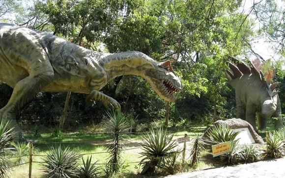 The Unseen Battles: Evidence of Fierce Rivalries Among Apex Predator ...