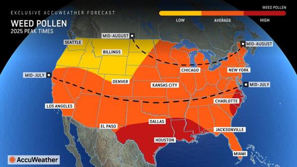 Maps show when allergy season will peak near you - NewsBreak