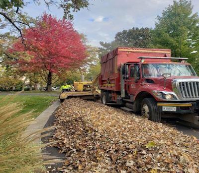 🚧 Palatine curbside leaf pickup runs Oct 26–Nov 16 - NewsBreak