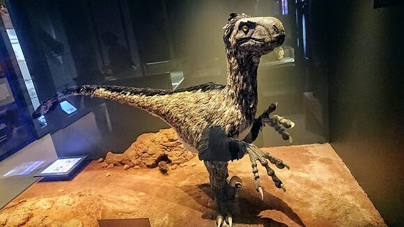 Chickenosaurus: Could Scientists Actually Reverse-Evolve a Dinosaur ...