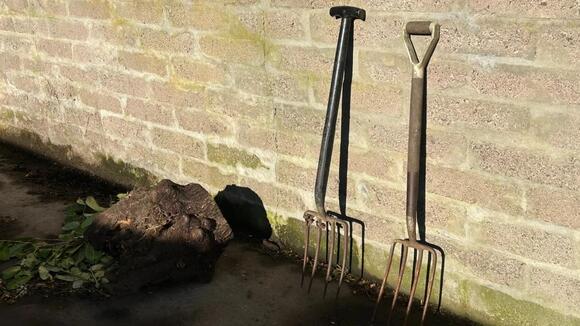 How to Successfully Remove Rocks from the Yard Limiting Backyard ...