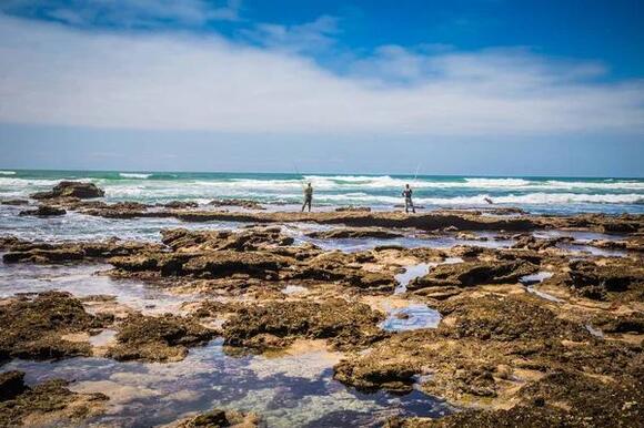 16 top open-water swims in Cape Town - NewsBreak