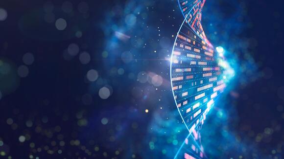 How do DNA tests tell if two people are related? - NewsBreak
