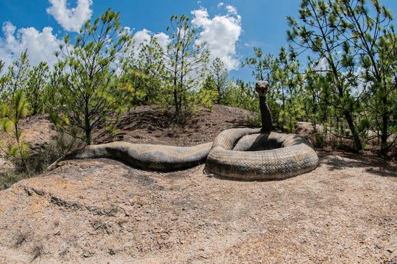 titanoboa-47-foot-prehistoric-giants-that-dwarfed-modern-anacondas