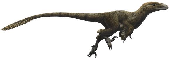 Raptor Revolution: Meet the Feathered Predators of the Late Cretaceous ...