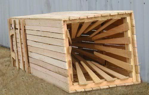 alabama fish trap regulations slat boxes Generic State Saltwater Identification and 50 INCH Ruler Decals (Alabama) : Sports & Outdoors People are Spotting These Mysterious