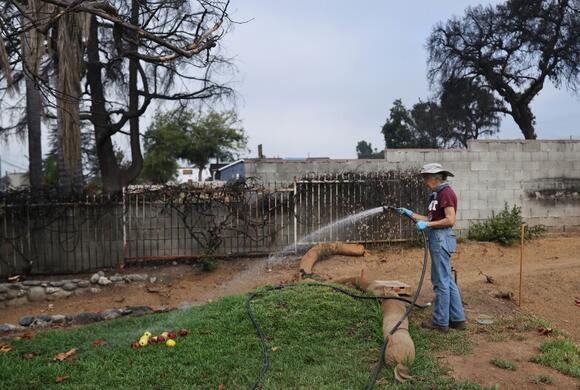 Big decisions are in store for small Altadena water companies and their ...