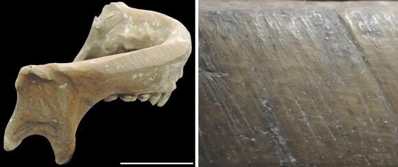 5,000-year-old skeleton masks and skull cups made from human bones ...