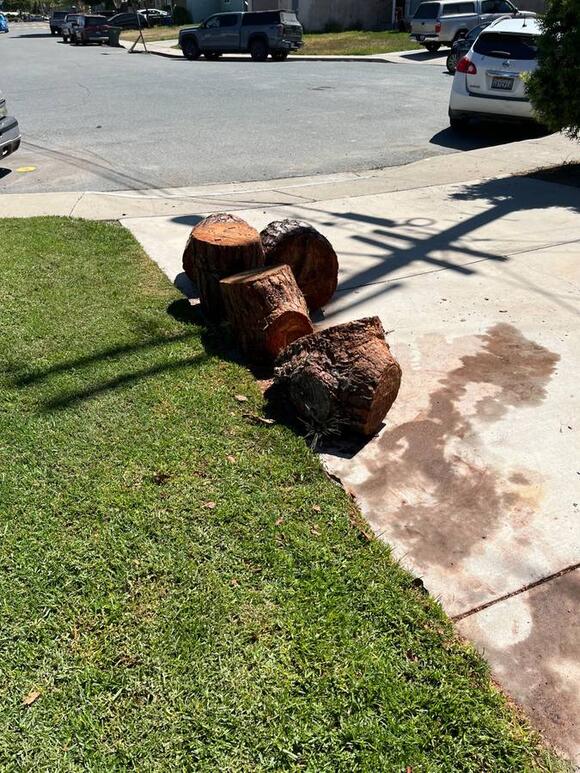 🎁 Freebies Up for Grabs in Chula Vista Right Now - NewsBreak