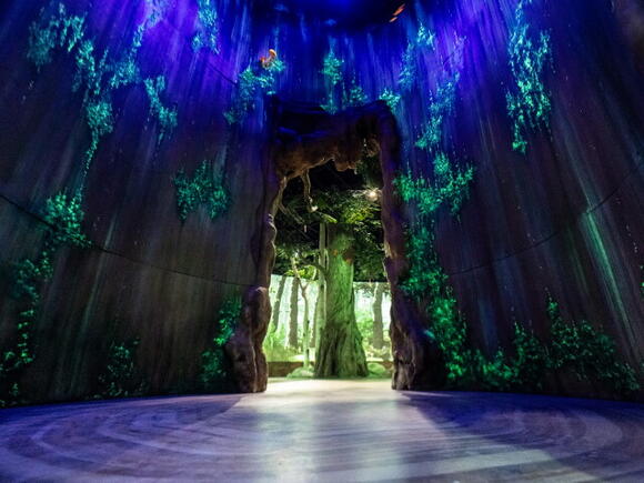 The wait is over! A first look inside Cleveland Metroparks Zoo's ...