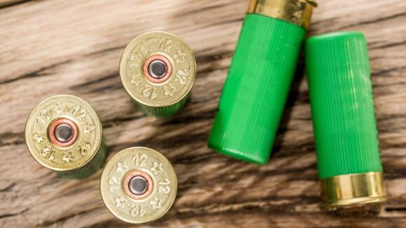 How far is too far for a shotgun? The truth about birdshot, buckshot ...