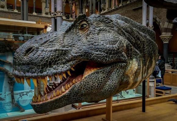 Could Dinosaurs Smell as Well as Modern Snakes? - NewsBreak