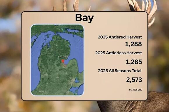 Michigan 2025 Deer Harvest Report: 83 County Breakdown - NewsBreak