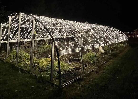 Holiday Magic Awaits at Lavender & Lights in Central New York - NewsBreak