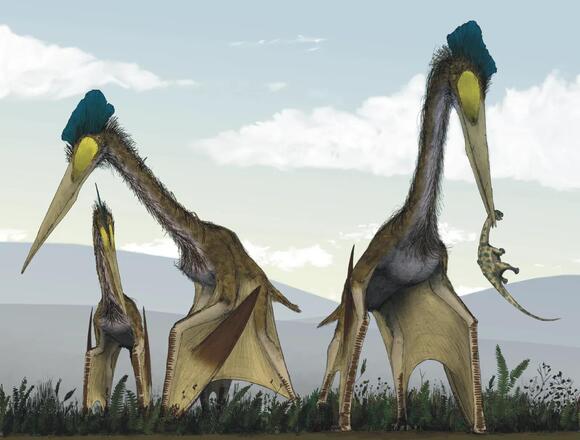 Prehistoric Giants of the Skies: The Dominance of Ancient Flying ...