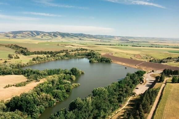As tourism declines after tariffs, Walla Walla's wine pays the price ...