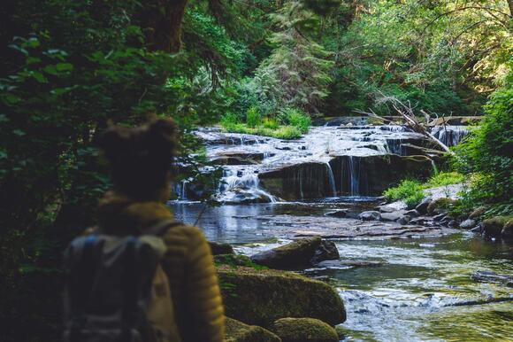 The classic Sweet Creek Falls hike has been closed since November 2025 ...