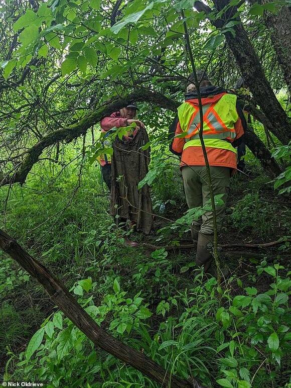 Last ditch' search for siblings, 6 and 4, who vanished five months ago...  as theories swirl - NewsBreak