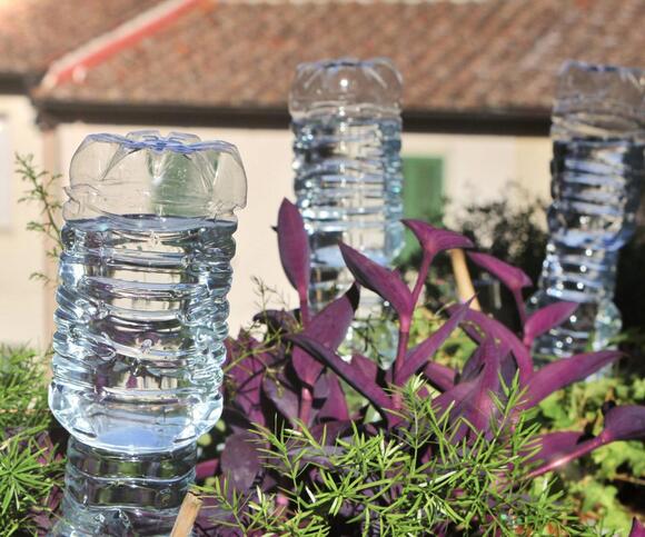 Your Empty Wine Bottles Are Actually a Genius Watering System for Your ...